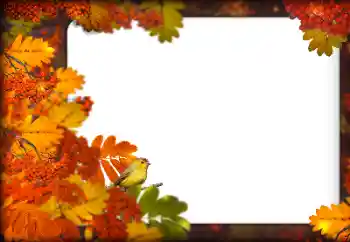 Εφέ φωτογραφιών στην κατηγορία Το φθινόπωρο № 160787