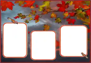 Εφέ φωτογραφιών στην κατηγορία Το φθινόπωρο № 162013