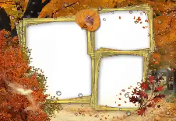 Εφέ φωτογραφιών στην κατηγορία Το φθινόπωρο № 162180