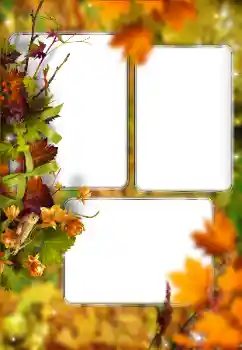 Εφέ φωτογραφιών στην κατηγορία Το φθινόπωρο № 176614