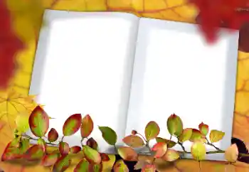 Εφέ φωτογραφιών στην κατηγορία Το φθινόπωρο № 182190