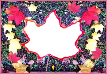 Εφέ φωτογραφιών στην κατηγορία Το φθινόπωρο № 190569