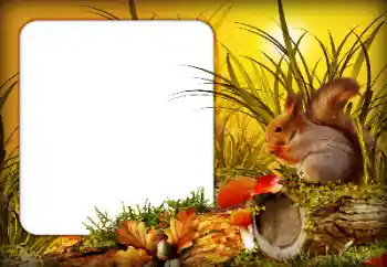 Εφέ φωτογραφιών στην κατηγορία Το φθινόπωρο № 190592