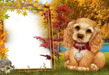 Εφέ φωτογραφιών στην κατηγορία Το φθινόπωρο № 190594