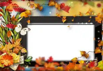 Εφέ φωτογραφιών στην κατηγορία Το φθινόπωρο № 191705