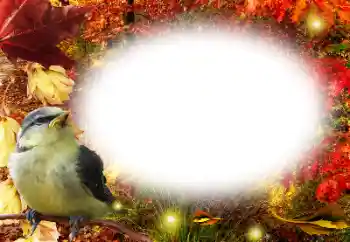 Εφέ φωτογραφιών στην κατηγορία Το φθινόπωρο № 191761