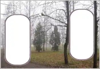 Εφέ φωτογραφιών στην κατηγορία Το φθινόπωρο № 191770