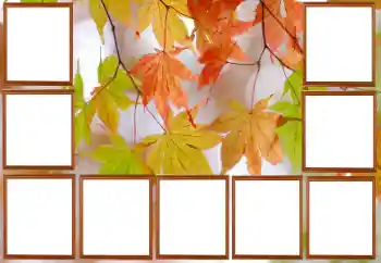 Εφέ φωτογραφιών στην κατηγορία Το φθινόπωρο № 195267