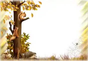 Εφέ φωτογραφιών στην κατηγορία Το φθινόπωρο № 196642