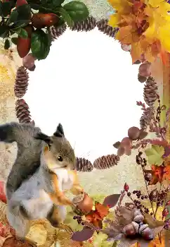 Εφέ φωτογραφιών στην κατηγορία Το φθινόπωρο № 2011