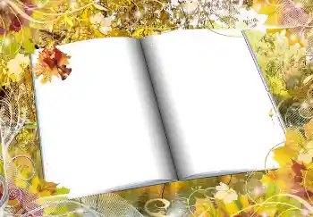 Εφέ φωτογραφιών στην κατηγορία Το φθινόπωρο № 2016