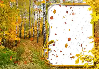 Εφέ φωτογραφιών στην κατηγορία Το φθινόπωρο № 2029