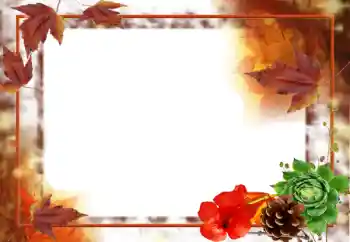 Εφέ φωτογραφιών στην κατηγορία Το φθινόπωρο № 31707