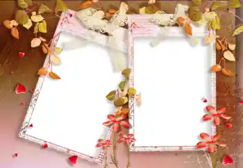 Εφέ φωτογραφιών στην κατηγορία Το φθινόπωρο № 33988