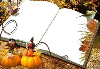 Εφέ φωτογραφιών στην κατηγορία Το φθινόπωρο № 34030