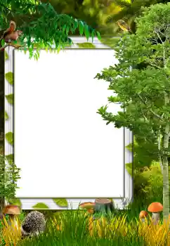 Εφέ φωτογραφιών στην κατηγορία Το φθινόπωρο № 34731