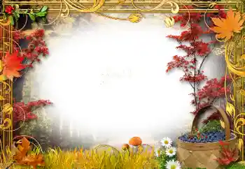 Εφέ φωτογραφιών στην κατηγορία Το φθινόπωρο № 34761