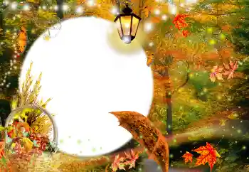 Εφέ φωτογραφιών στην κατηγορία Το φθινόπωρο № 35073