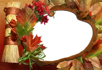 Εφέ φωτογραφιών στην κατηγορία Το φθινόπωρο № 5620