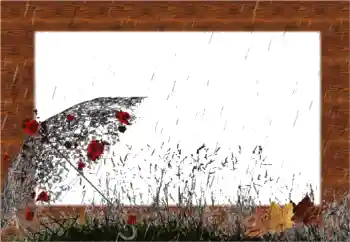 Εφέ φωτογραφιών στην κατηγορία Το φθινόπωρο № 56541