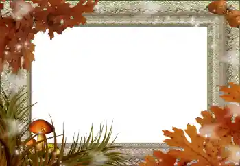 Εφέ φωτογραφιών στην κατηγορία Το φθινόπωρο № 59045