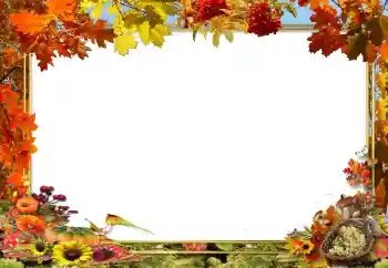 Εφέ φωτογραφιών στην κατηγορία Το φθινόπωρο № 62654