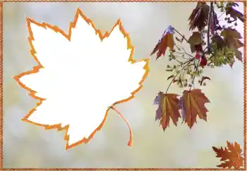 Εφέ φωτογραφιών στην κατηγορία Το φθινόπωρο № 80359