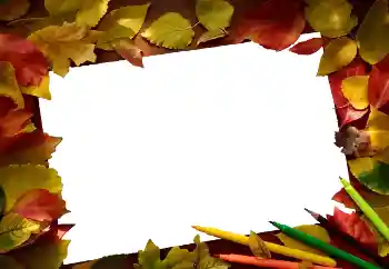 Εφέ φωτογραφιών στην κατηγορία Το φθινόπωρο № 81689