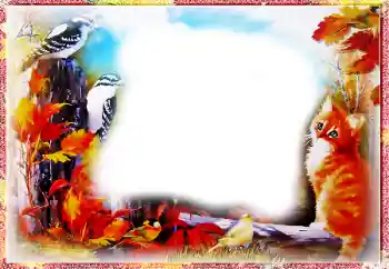 Εφέ φωτογραφιών στην κατηγορία Το φθινόπωρο № 86557