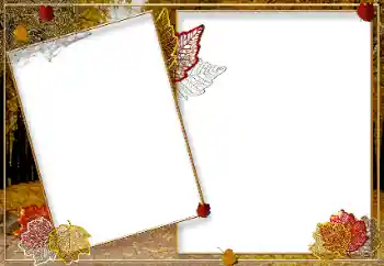 Εφέ φωτογραφιών στην κατηγορία Το φθινόπωρο № 9719