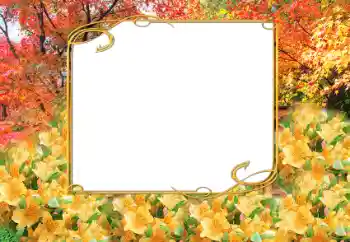 Εφέ φωτογραφιών στην κατηγορία Το φθινόπωρο № 9797