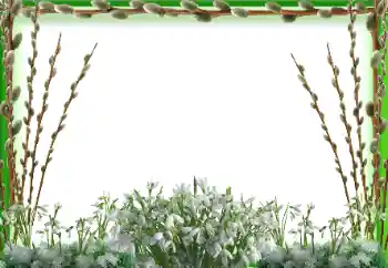 Εφέ φωτογραφιών στην κατηγορία Η άνοιξη № 197647