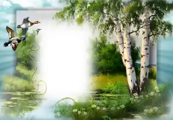 Εφέ φωτογραφιών στην κατηγορία Η άνοιξη № 49552