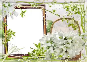 Εφέ φωτογραφιών στην κατηγορία Η άνοιξη № 980