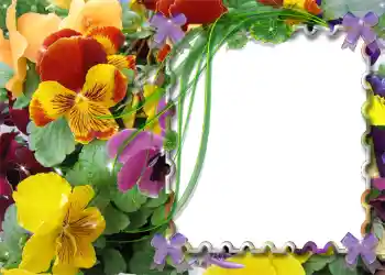 Εφέ φωτογραφιών στην κατηγορία Η άνοιξη № 983 Εφέ φωτογραφιών στην κατηγορία Η άνοιξη № 983