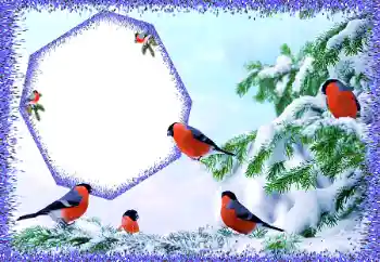 Εφέ φωτογραφιών στην κατηγορία Ο χειμώνας № 105588 Εφέ φωτογραφιών στην κατηγορία Ο χειμώνας № 105588