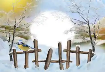 Εφέ φωτογραφιών στην κατηγορία Ο χειμώνας № 110837 Εφέ φωτογραφιών στην κατηγορία Ο χειμώνας № 110837