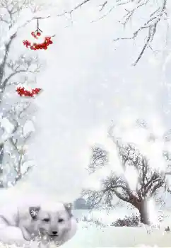 Εφέ φωτογραφιών στην κατηγορία Ο χειμώνας № 111870 Εφέ φωτογραφιών στην κατηγορία Ο χειμώνας № 111870