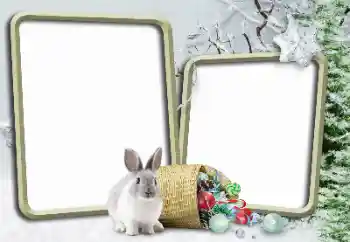 Εφέ φωτογραφιών στην κατηγορία Ο χειμώνας № 148975 Εφέ φωτογραφιών στην κατηγορία Ο χειμώνας № 148975