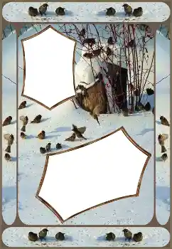 Εφέ φωτογραφιών στην κατηγορία Ο χειμώνας № 151645