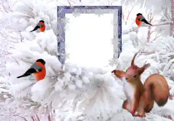 Εφέ φωτογραφιών στην κατηγορία Ο χειμώνας № 160607 Εφέ φωτογραφιών στην κατηγορία Ο χειμώνας № 160607