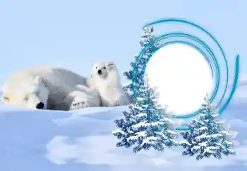 Εφέ φωτογραφιών στην κατηγορία Ο χειμώνας № 163218 Εφέ φωτογραφιών στην κατηγορία Ο χειμώνας № 163218