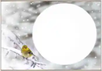 Εφέ φωτογραφιών στην κατηγορία Ο χειμώνας № 163334 Εφέ φωτογραφιών στην κατηγορία Ο χειμώνας № 163334