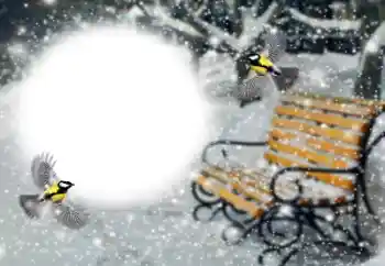 Εφέ φωτογραφιών στην κατηγορία Ο χειμώνας № 191760 Εφέ φωτογραφιών στην κατηγορία Ο χειμώνας № 191760