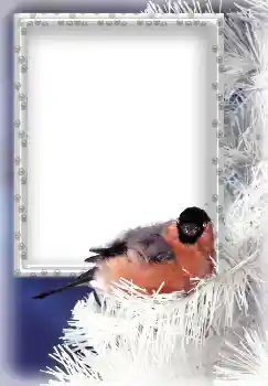 Εφέ φωτογραφιών στην κατηγορία Ο χειμώνας № 3339 Εφέ φωτογραφιών στην κατηγορία Ο χειμώνας № 3339