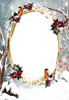 Εφέ φωτογραφιών στην κατηγορία Ο χειμώνας № 3374 Εφέ φωτογραφιών στην κατηγορία Ο χειμώνας № 3374