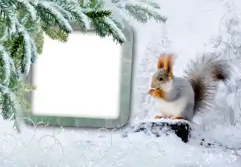 Εφέ φωτογραφιών στην κατηγορία Ο χειμώνας № 3375 Εφέ φωτογραφιών στην κατηγορία Ο χειμώνας № 3375