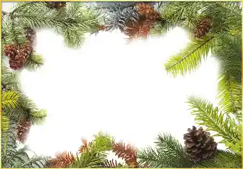 Εφέ φωτογραφιών στην κατηγορία Ο χειμώνας № 3395 Εφέ φωτογραφιών στην κατηγορία Ο χειμώνας № 3395