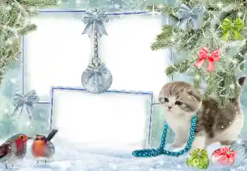 Εφέ φωτογραφιών στην κατηγορία Ο χειμώνας № 38960 Εφέ φωτογραφιών στην κατηγορία Ο χειμώνας № 38960