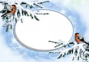 Εφέ φωτογραφιών στην κατηγορία Ο χειμώνας № 42676 Εφέ φωτογραφιών στην κατηγορία Ο χειμώνας № 42676